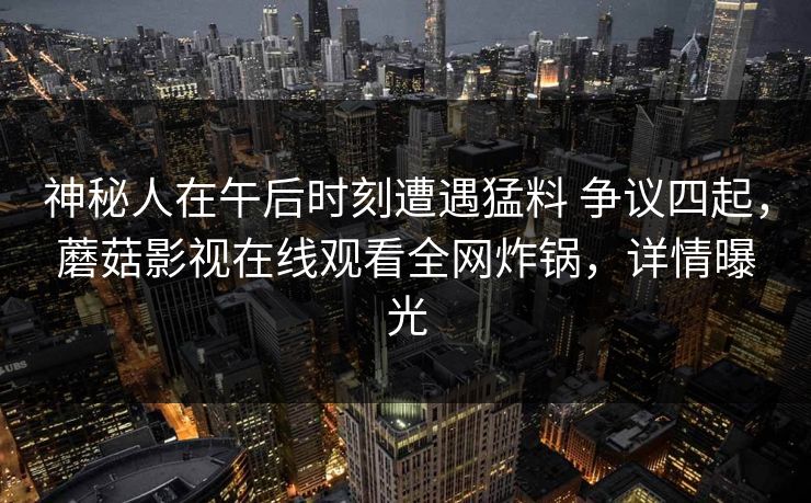 神秘人在午后时刻遭遇猛料 争议四起，蘑菇影视在线观看全网炸锅，详情曝光