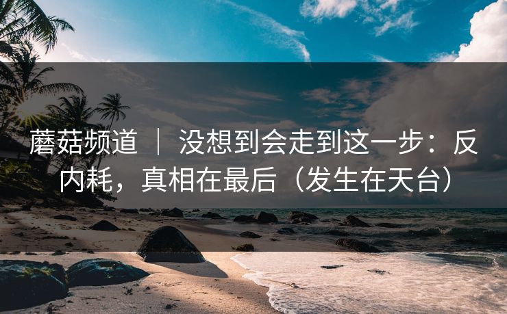 蘑菇频道 ｜ 没想到会走到这一步：反内耗，真相在最后（发生在天台）
