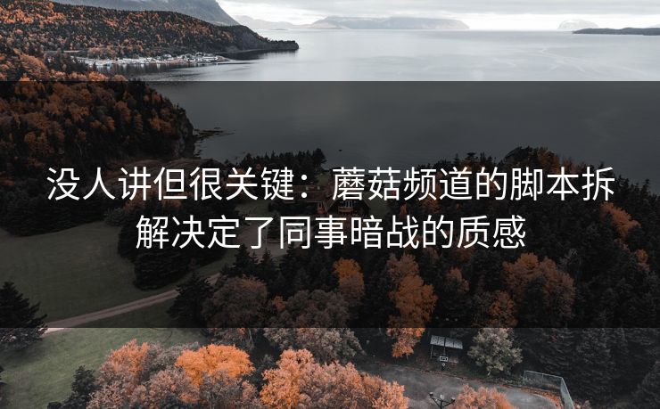 没人讲但很关键：蘑菇频道的脚本拆解决定了同事暗战的质感